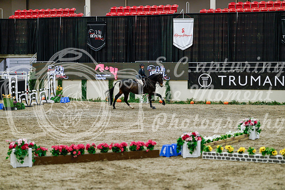 2025 - Haylee - Royal West - Friday October 24th - 06607
