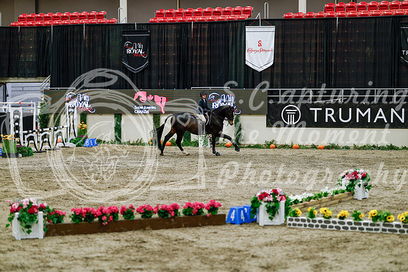 2025 - Haylee - Royal West - Friday October 24th - 06608