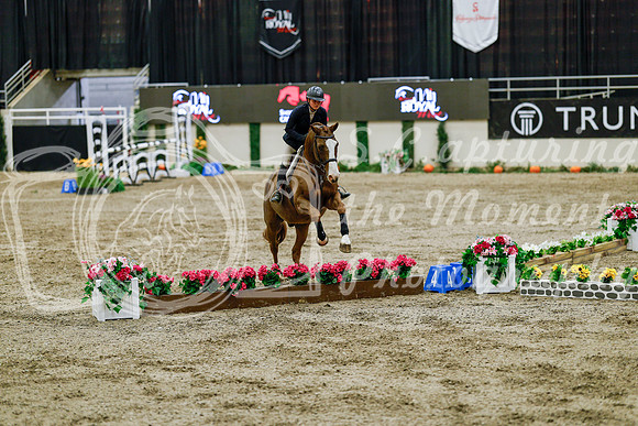 2025 - Haylee - Royal West - Friday October 24th - 08832