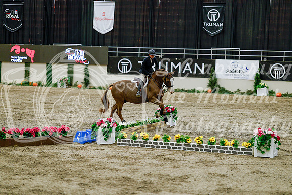 2025 - Haylee - Royal West - Friday October 24th - 08844