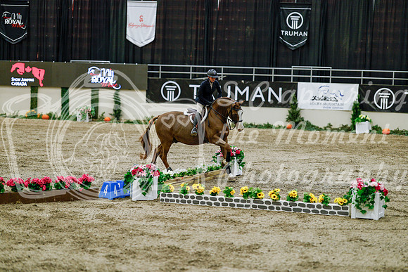 2025 - Haylee - Royal West - Friday October 24th - 08845