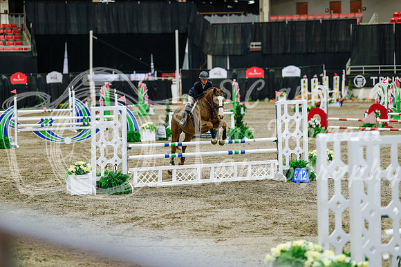 2025 - Haylee - Royal West - Friday October 24th - 08853