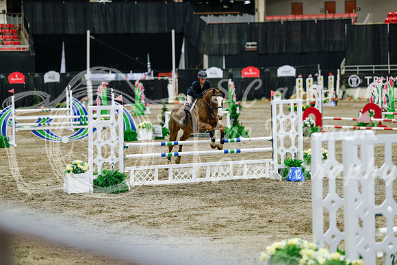 2025 - Haylee - Royal West - Friday October 24th - 08854