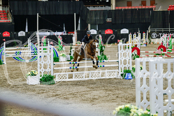 2025 - Haylee - Royal West - Friday October 24th - 08855