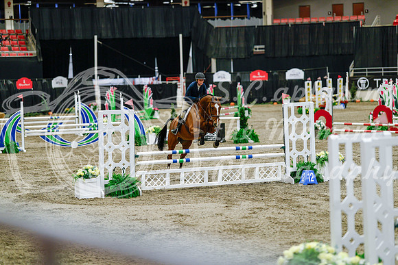 2025 - Haylee - Royal West - Friday October 24th - 07508