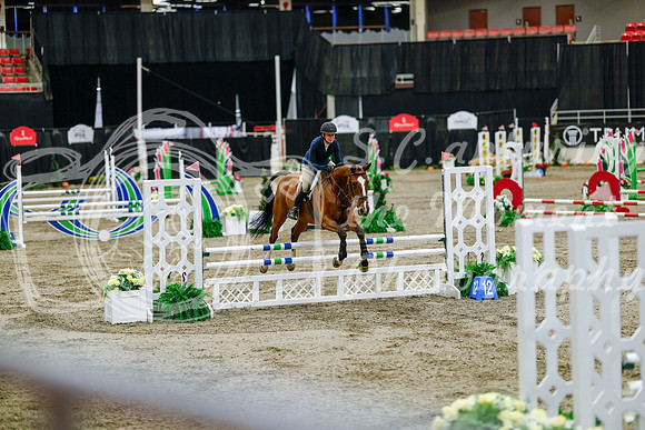 2025 - Haylee - Royal West - Friday October 24th - 07513