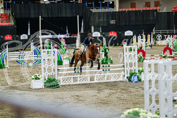 2025 - Haylee - Royal West - Friday October 24th - 07511