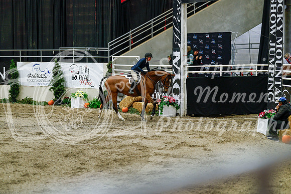 2025 - Haylee - Royal West - Friday October 24th - 07585