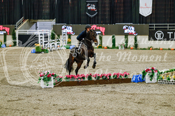 2025 - Haylee - Royal West - Friday October 24th - 08143