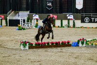 2025 - Haylee - Royal West - Friday October 24th - 08145