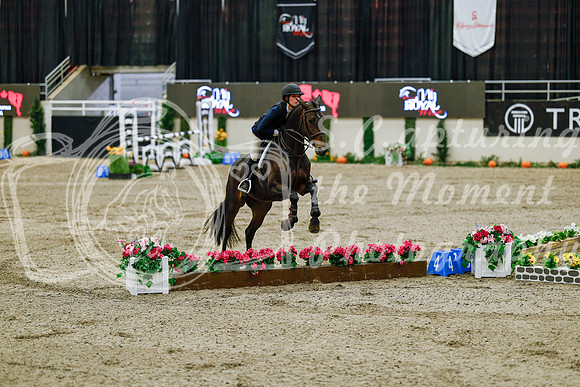 2025 - Haylee - Royal West - Friday October 24th - 08145