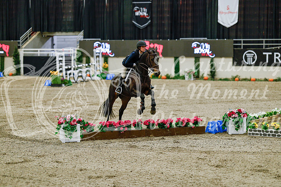 2025 - Haylee - Royal West - Friday October 24th - 08146