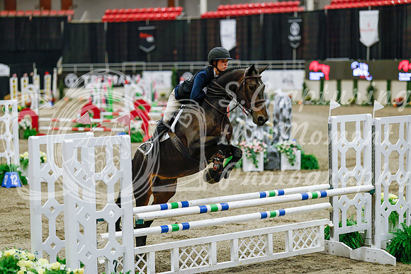 2025 - Haylee - Royal West - Friday October 24th - 08173