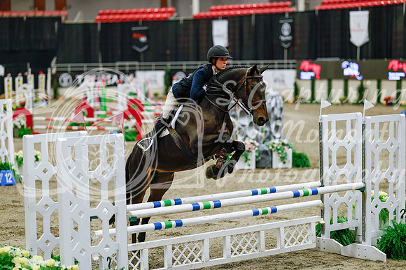 2025 - Haylee - Royal West - Friday October 24th - 08174