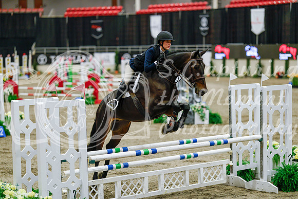 2025 - Haylee - Royal West - Friday October 24th - 08176