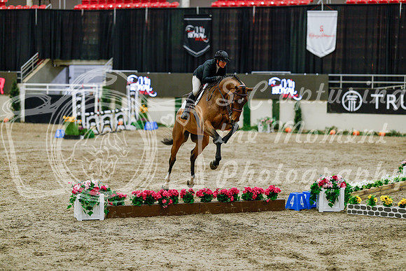 2025 - Haylee - Royal West - Friday October 24th - 06395