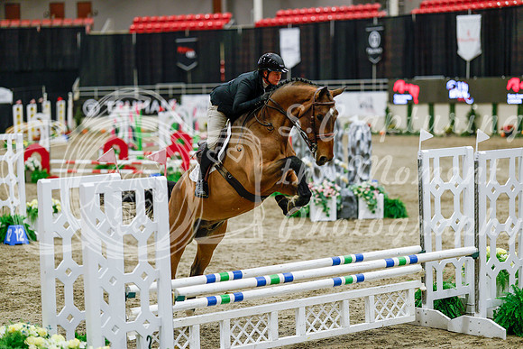 2025 - Haylee - Royal West - Friday October 24th - 06415
