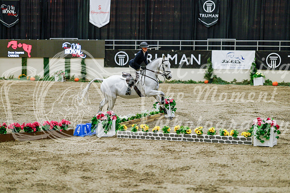2025 - Haylee - Royal West - Friday October 24th - 08583