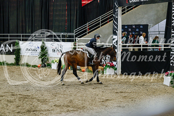 2025 - Haylee - Royal West - Friday October 24th - 06011