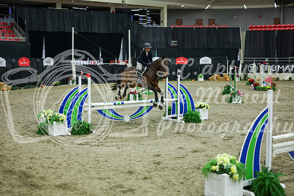 2025 - Shea - Royal West - Friday October 24th - 09095