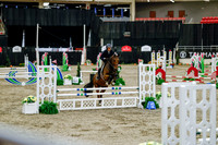 2025 - Haylee - Royal West - Friday October 24th - 06235