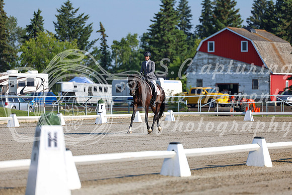 2025 - Dressage Festival - Saturday July 5th - 00116