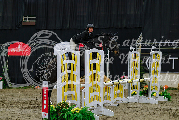 2025 - Haylee - Royal West - Saturday October 25th - 00338
