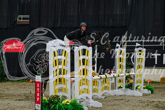 2025 - Haylee - Royal West - Saturday October 25th - 00339