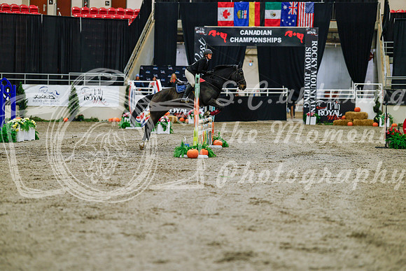2025 - Haylee - Royal West - Saturday October 25th - 00362