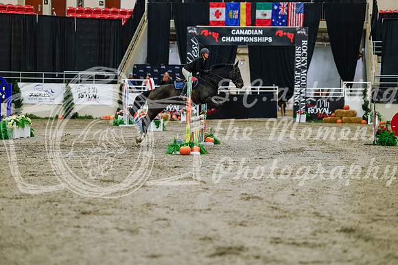 2025 - Haylee - Royal West - Saturday October 25th - 00363