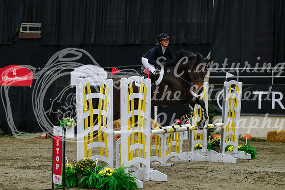 2025 - Haylee - Royal West - Saturday October 25th - 00150