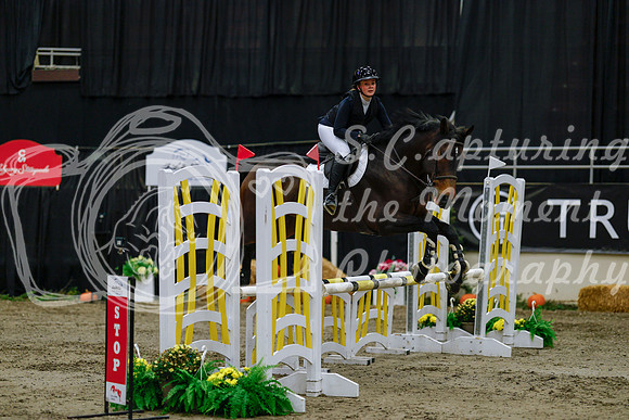 2025 - Haylee - Royal West - Saturday October 25th - 00151