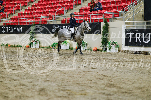 2025 - Haylee - Royal West - Saturday October 25th - 00424