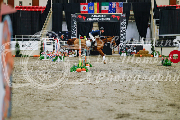 2025 - Haylee - Royal West - Saturday October 25th - 00272
