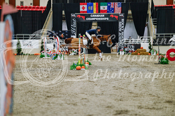 2025 - Haylee - Royal West - Saturday October 25th - 00271