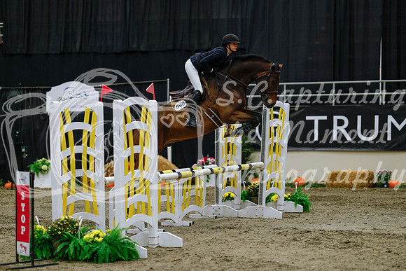 2025 - Haylee - Royal West - Saturday October 25th - 00198