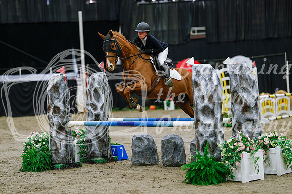 2025 - Haylee - Royal West - Saturday October 25th - 00127