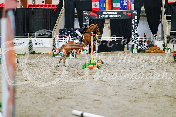 2025 - Haylee - Royal West - Saturday October 25th - 00133