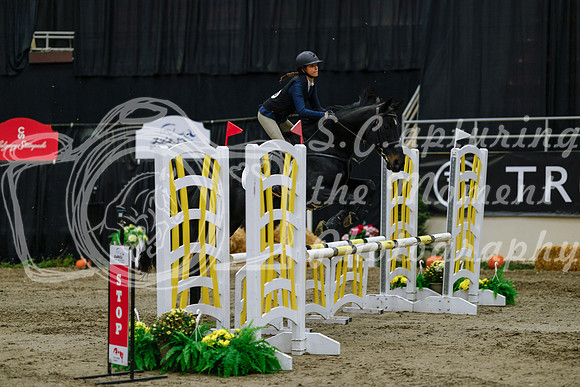 2025 - Haylee - Royal West - Saturday October 25th - 00291