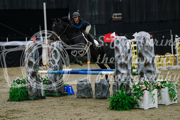 2025 - Haylee - Royal West - Saturday October 25th - 00310