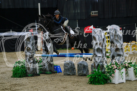 2025 - Haylee - Royal West - Saturday October 25th - 00312