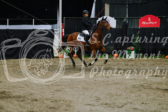 2025 - Haylee - Royal West - Saturday October 25th - 00436