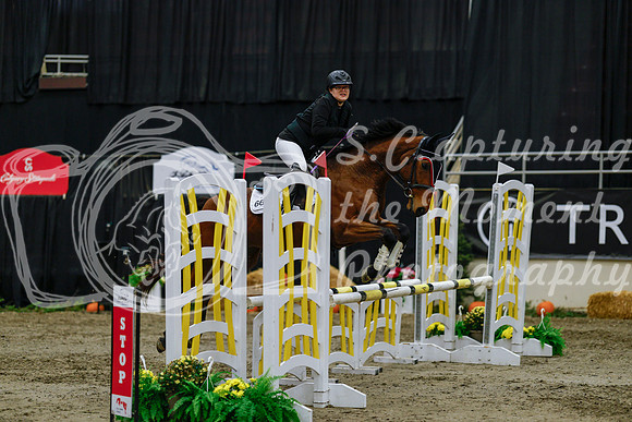 2025 - Haylee - Royal West - Saturday October 25th - 00441