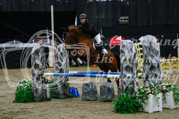 2025 - Haylee - Royal West - Saturday October 25th - 00461