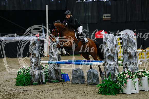 2025 - Haylee - Royal West - Saturday October 25th - 00463