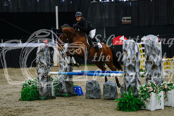 2025 - Haylee - Royal West - Saturday October 25th - 00464