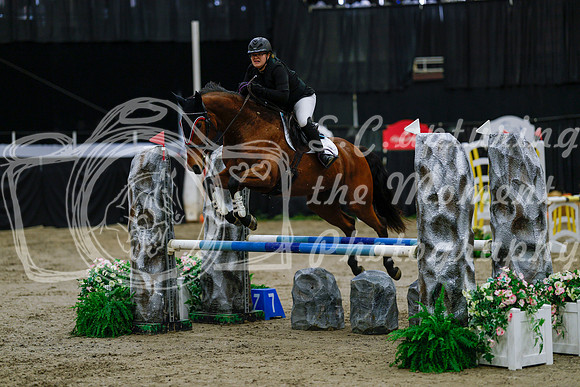 2025 - Haylee - Royal West - Saturday October 25th - 00465