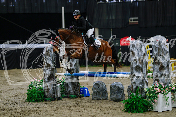 2025 - Haylee - Royal West - Saturday October 25th - 00467