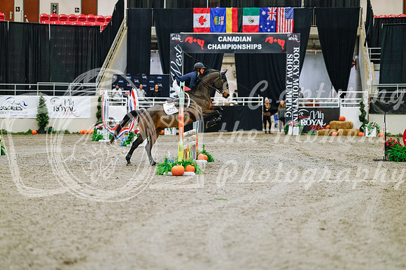 2025 - Haylee - Royal West - Saturday October 25th - 00020