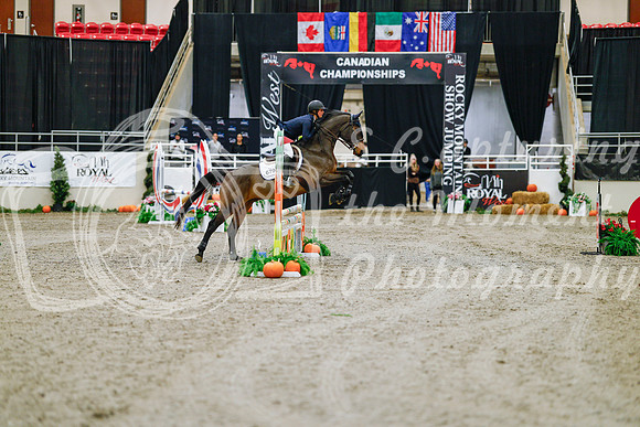2025 - Haylee - Royal West - Saturday October 25th - 00021
